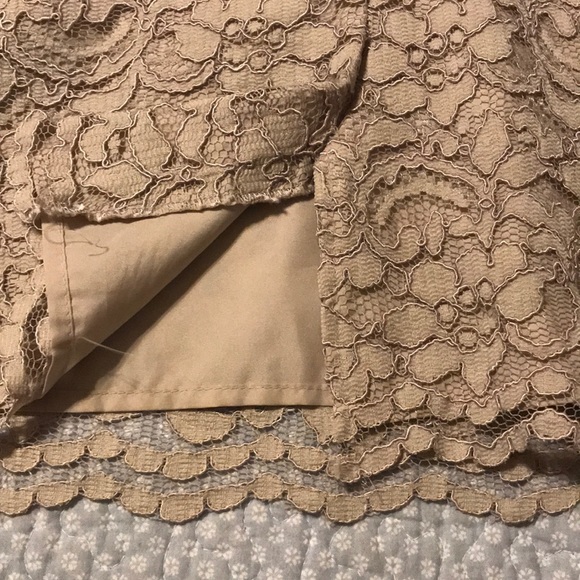 David’s Bridal nude/mauve lace dress. Fully lined - Picture 4 of 8